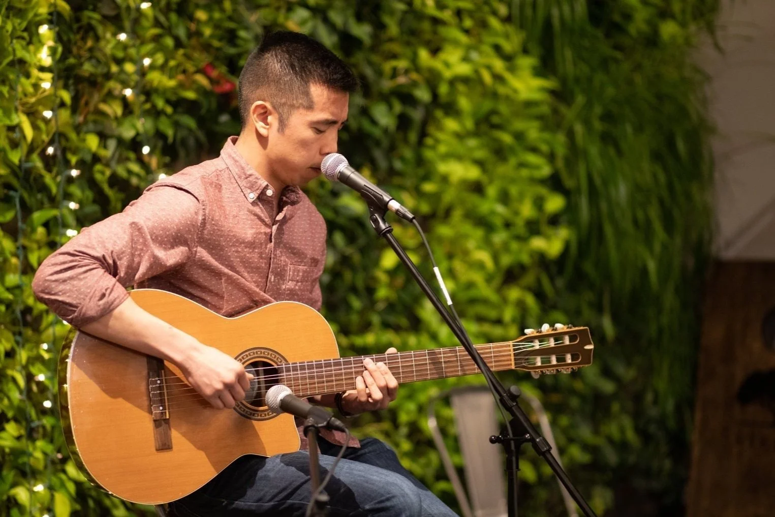 Guitar Instruction and Performance