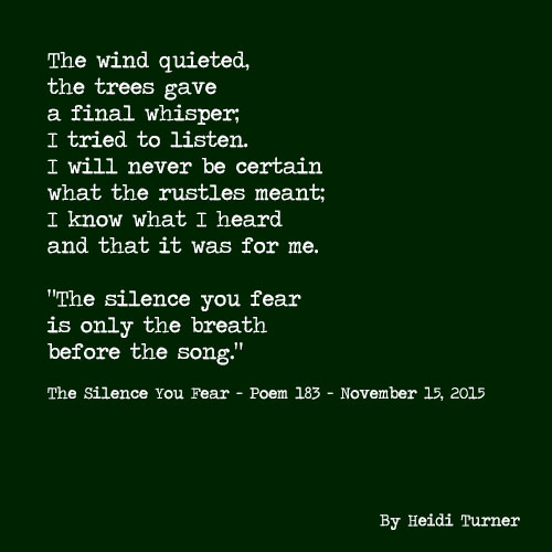 The Silence You Fear