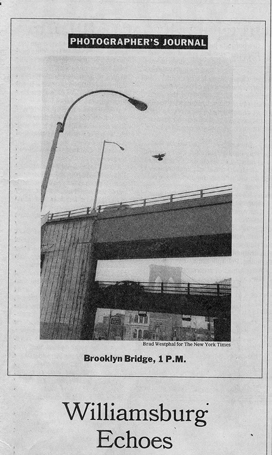 NYTIMESTEAR03.jpg