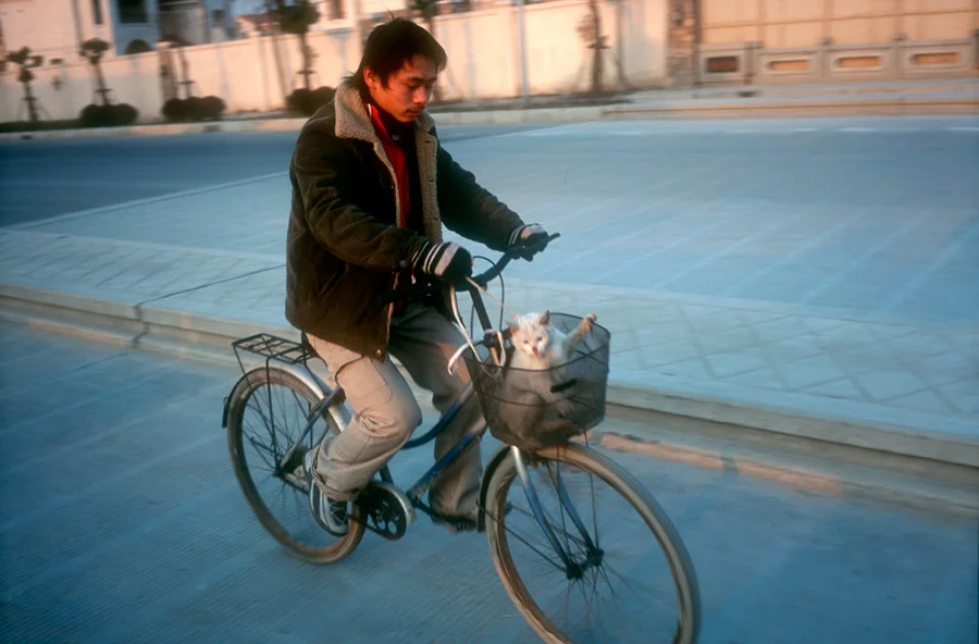 china002.jpg