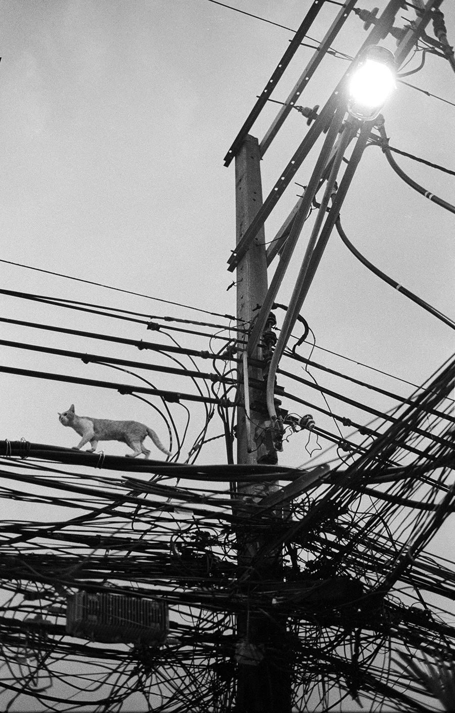 bkk62.jpg
