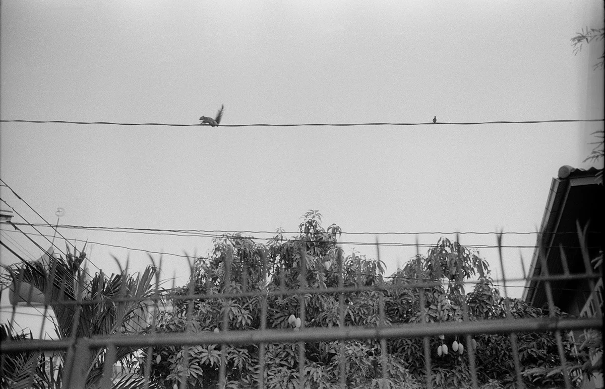 BKK00405c.jpg