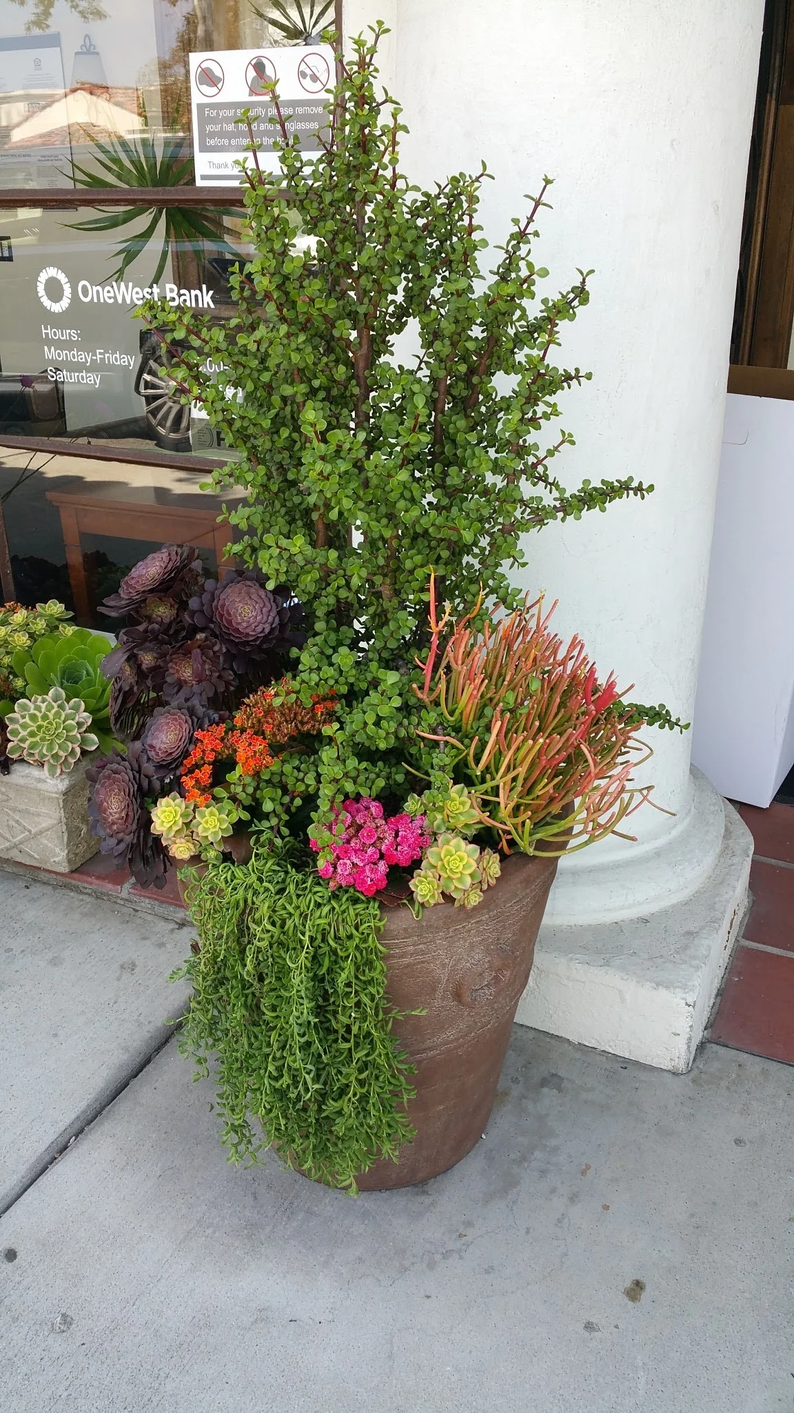20160518_105442.jpg