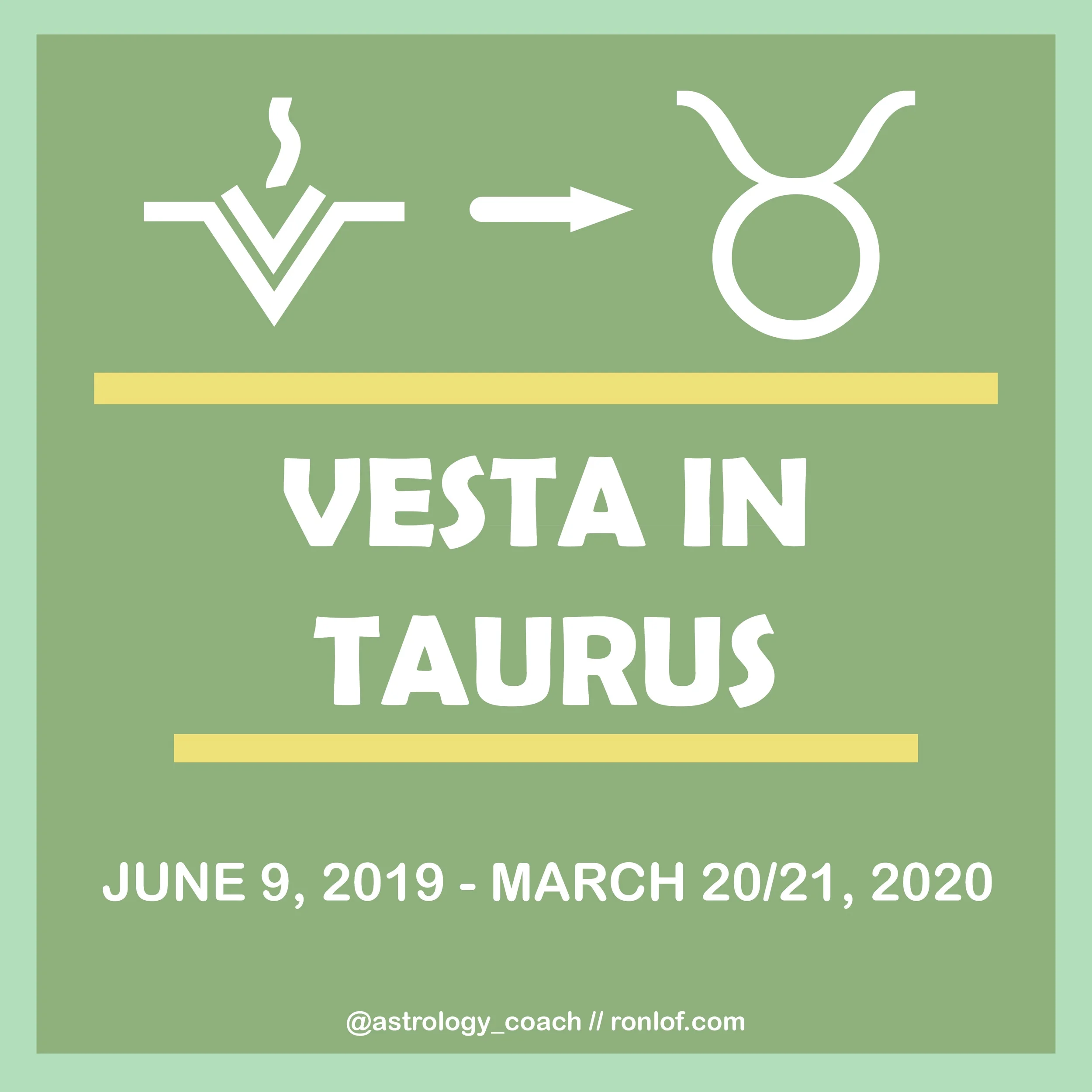 vestataurus.jpeg