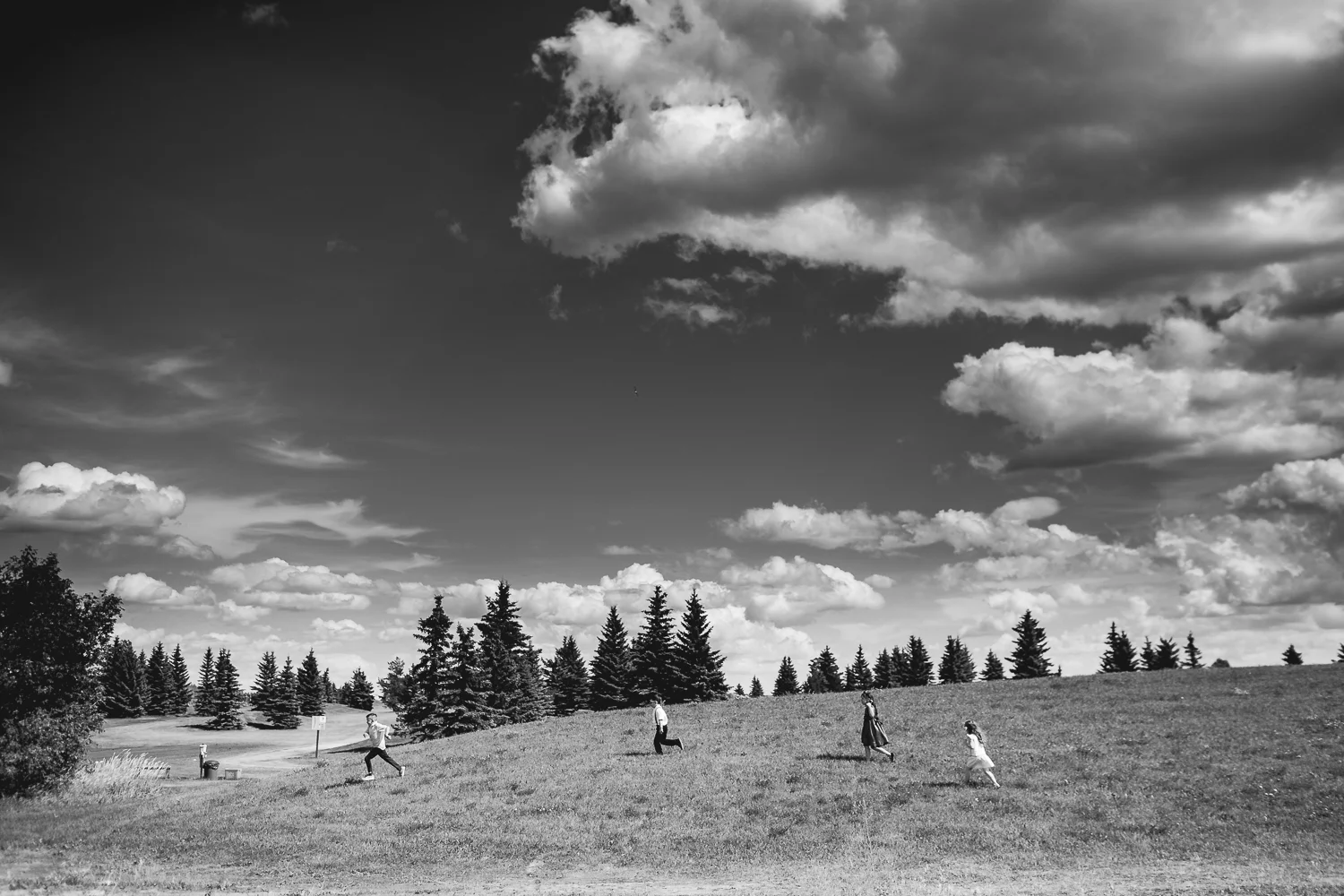 IMG_9186(1500).jpg