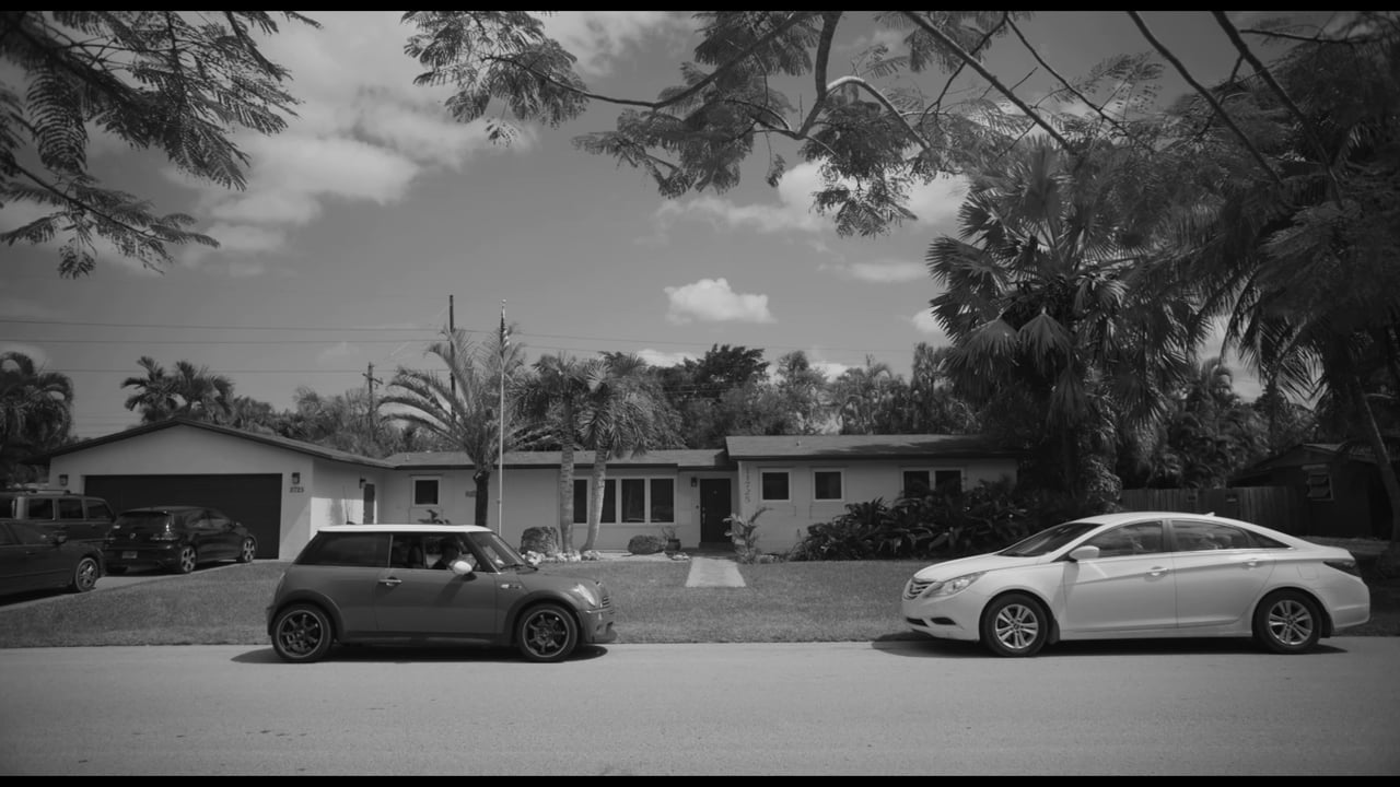 Swingers Anonymous Trailer