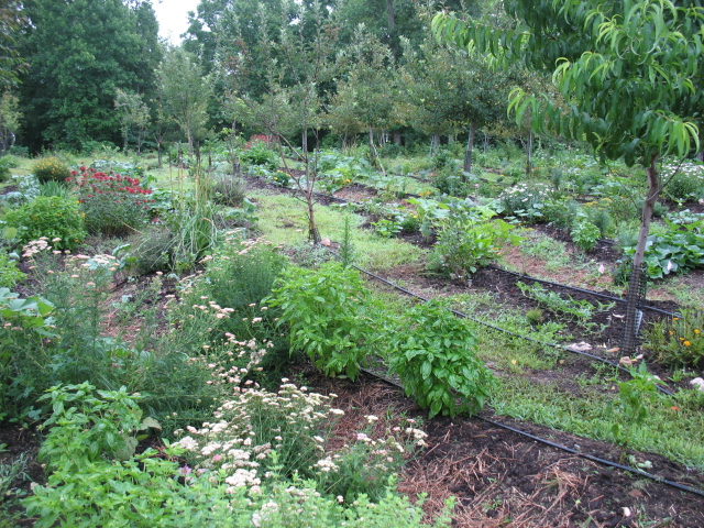 No pesticides, synthetic chemicals, fertilizers or GMOs here! Everything is fresh and sustainable.