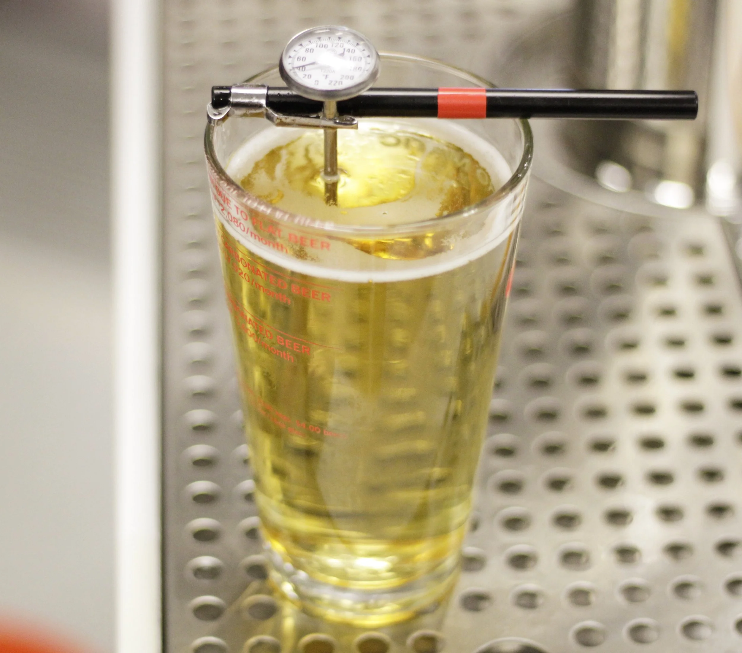 It might look like pee, but a glass of yellow fizz is the perfect guinea pig practicing temperature readings . 