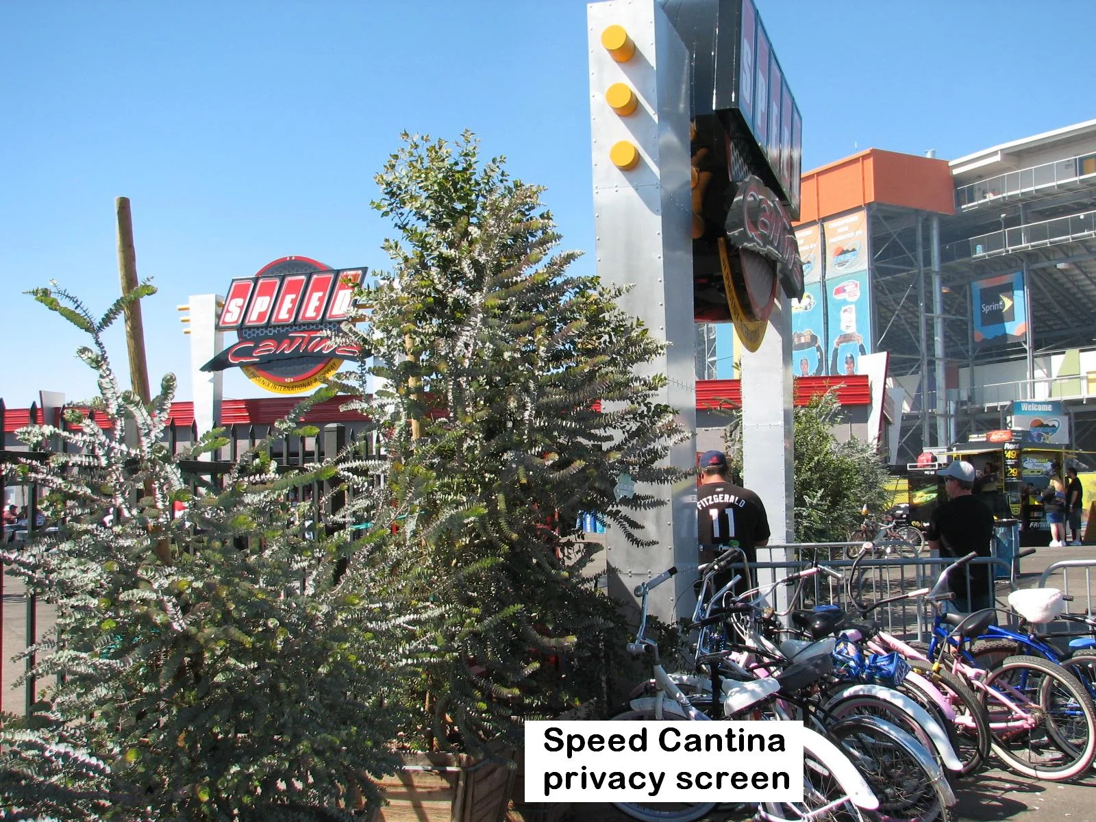 l Speed cantina Kruseana,s.jpg