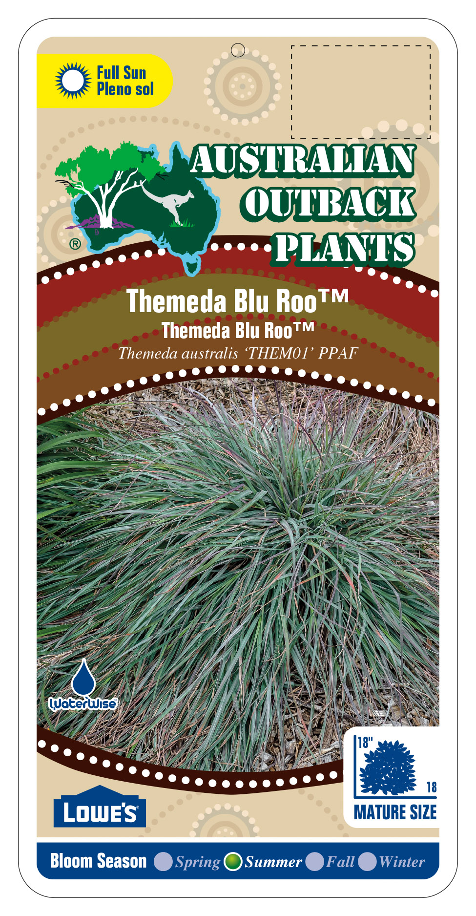 426117_FRONT-Themeda-Blu-Roo.jpg