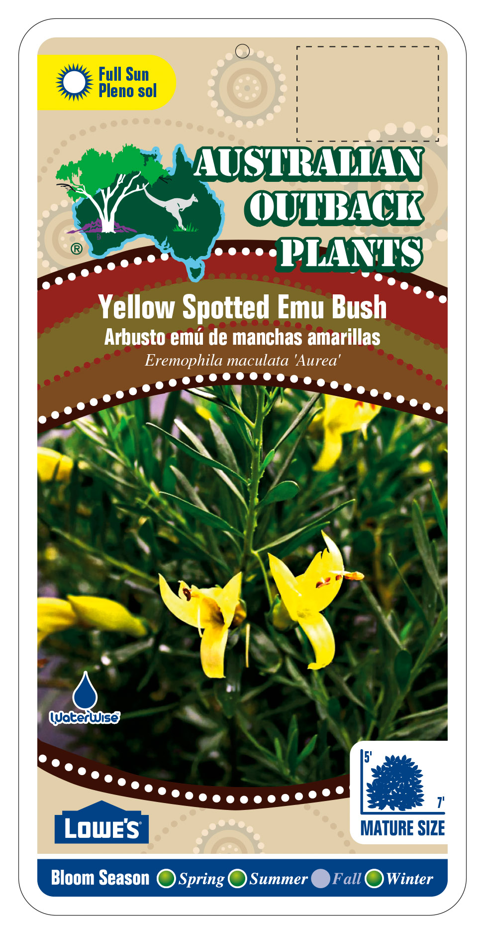 256010_FRONT-Yellow-Spotted-Emu-Bush.jpg