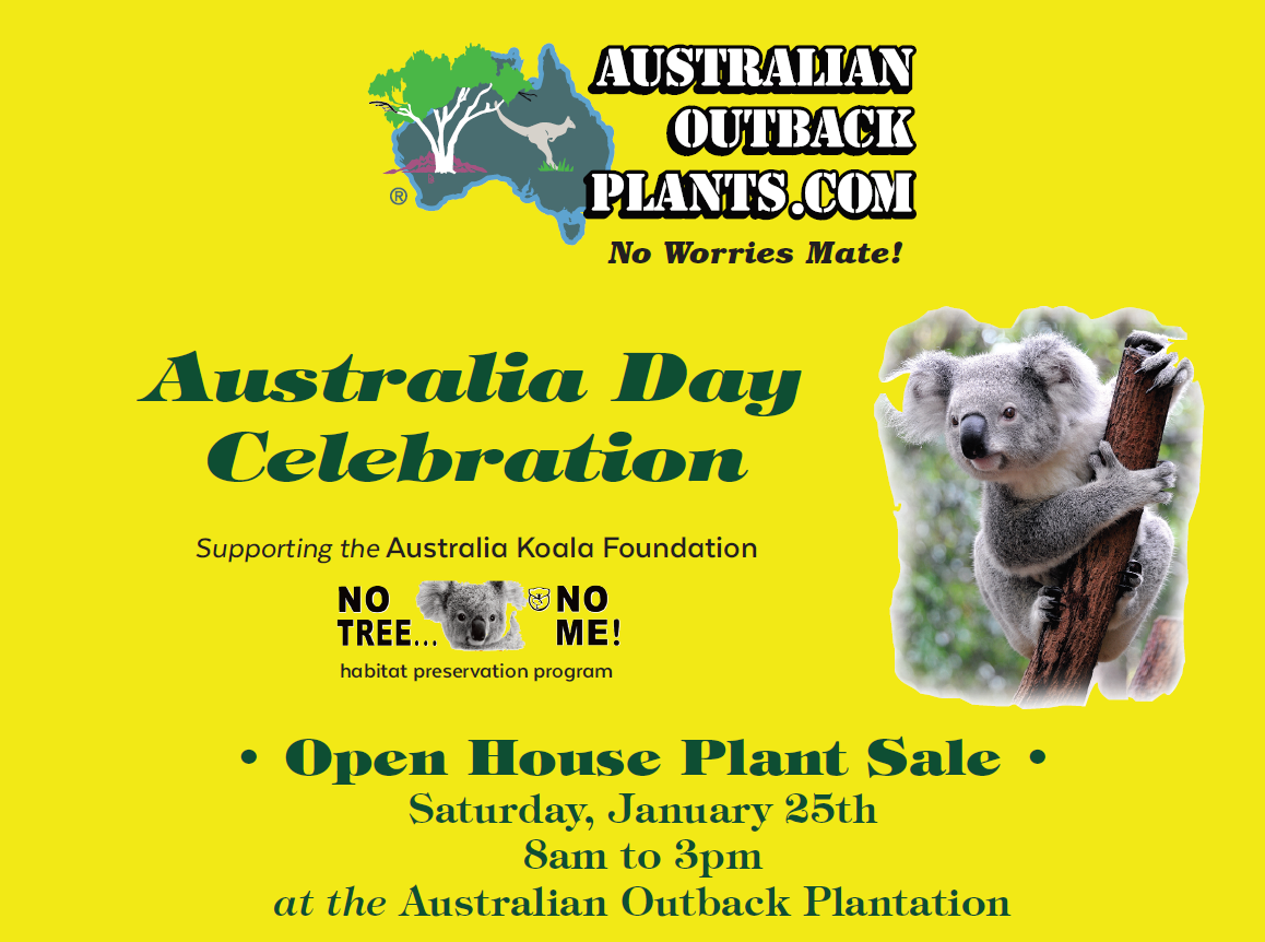 Australia Day - 25th Jan 2021 - Supporting the Australia Koala Foundation