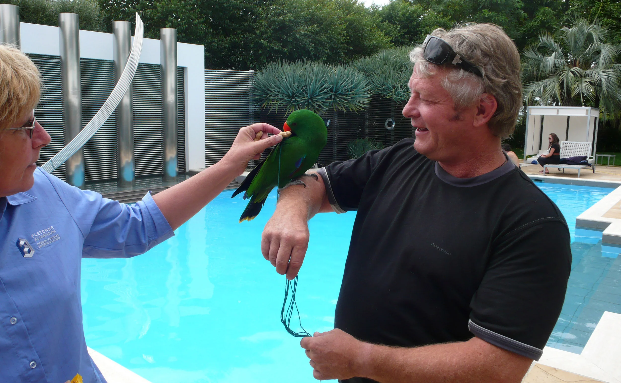 1_RABO-parrot-mark-vette-behind-the-scenes-crop.jpg
