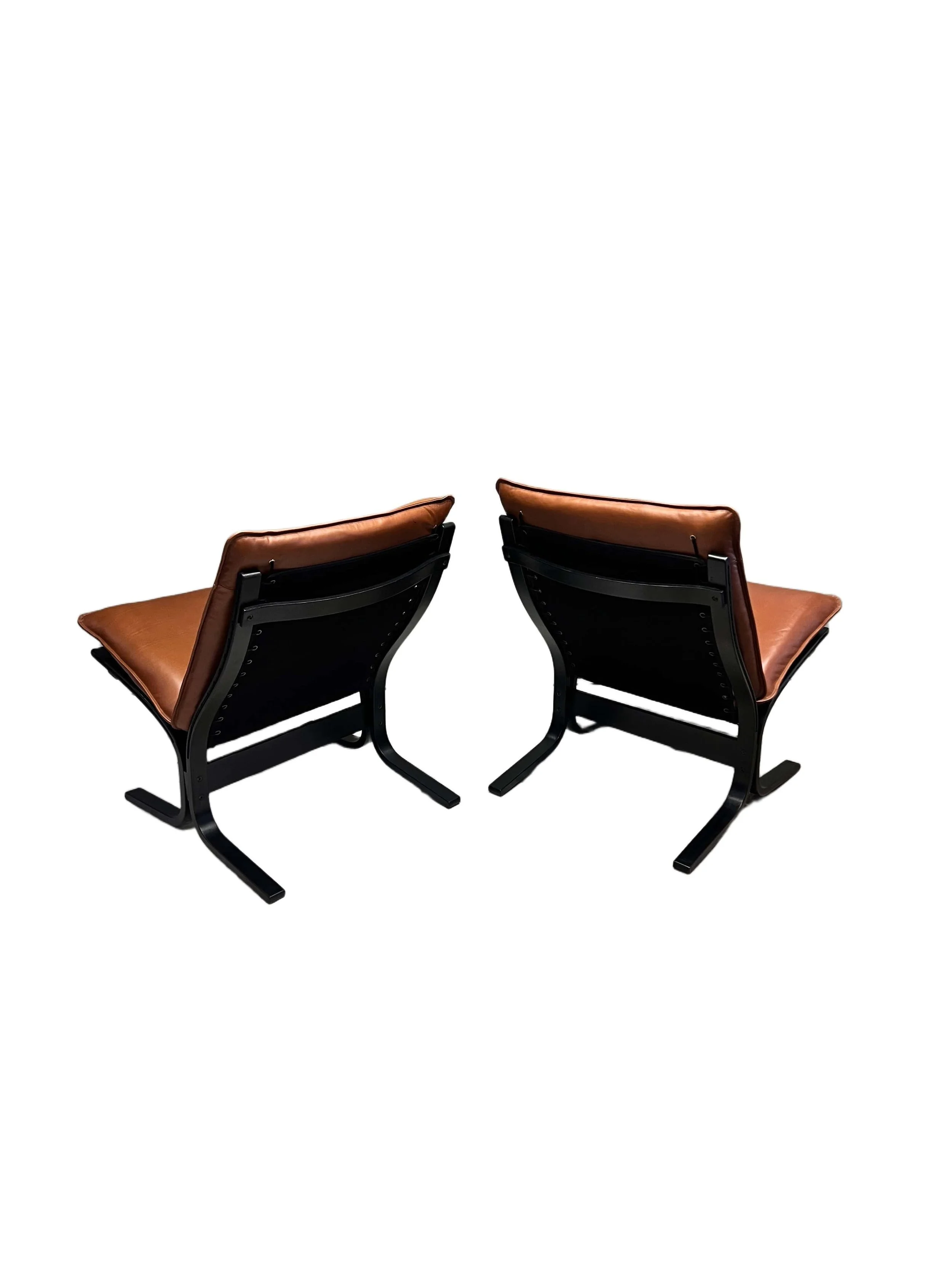 black-lacquered-bentwood-siesta-chairs.jpg