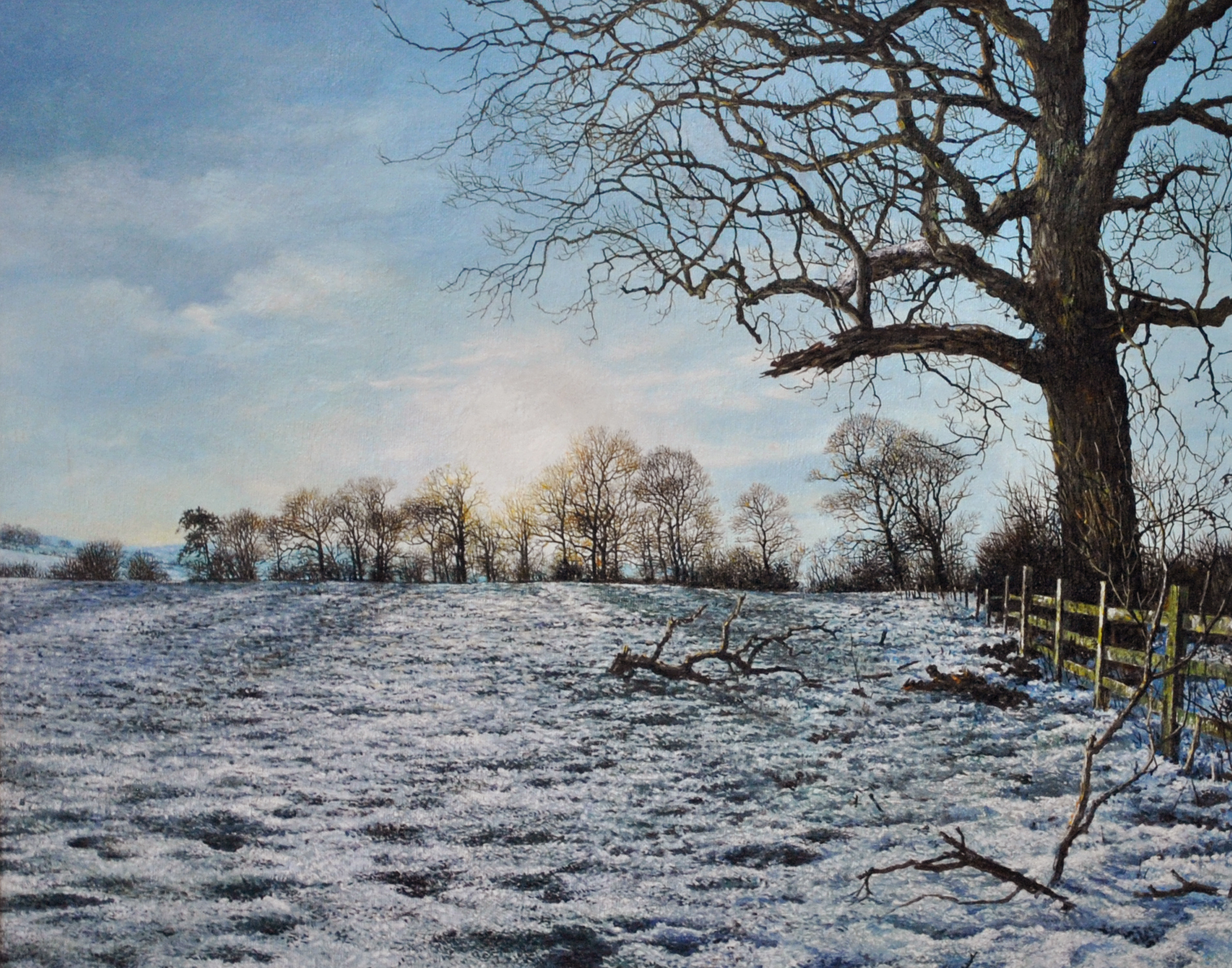 Martin-Taylor.Light-Over-the-Spinney.jpg