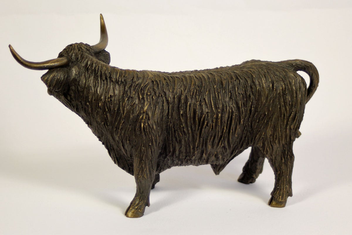 pippa-hill-highland-bull-2.jpg