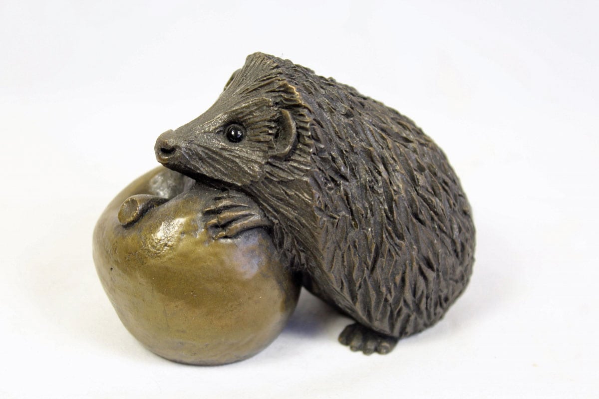 pippa-hill-large-hedgehog-on-apple-2.jpg