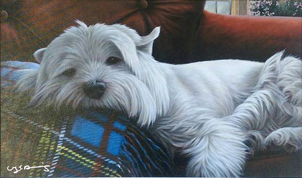 nigel-hemming-westie-cropped.jpg