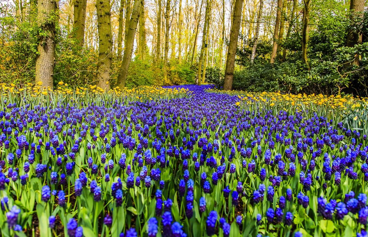Copyright Tim Collins Photography-1784.jpg