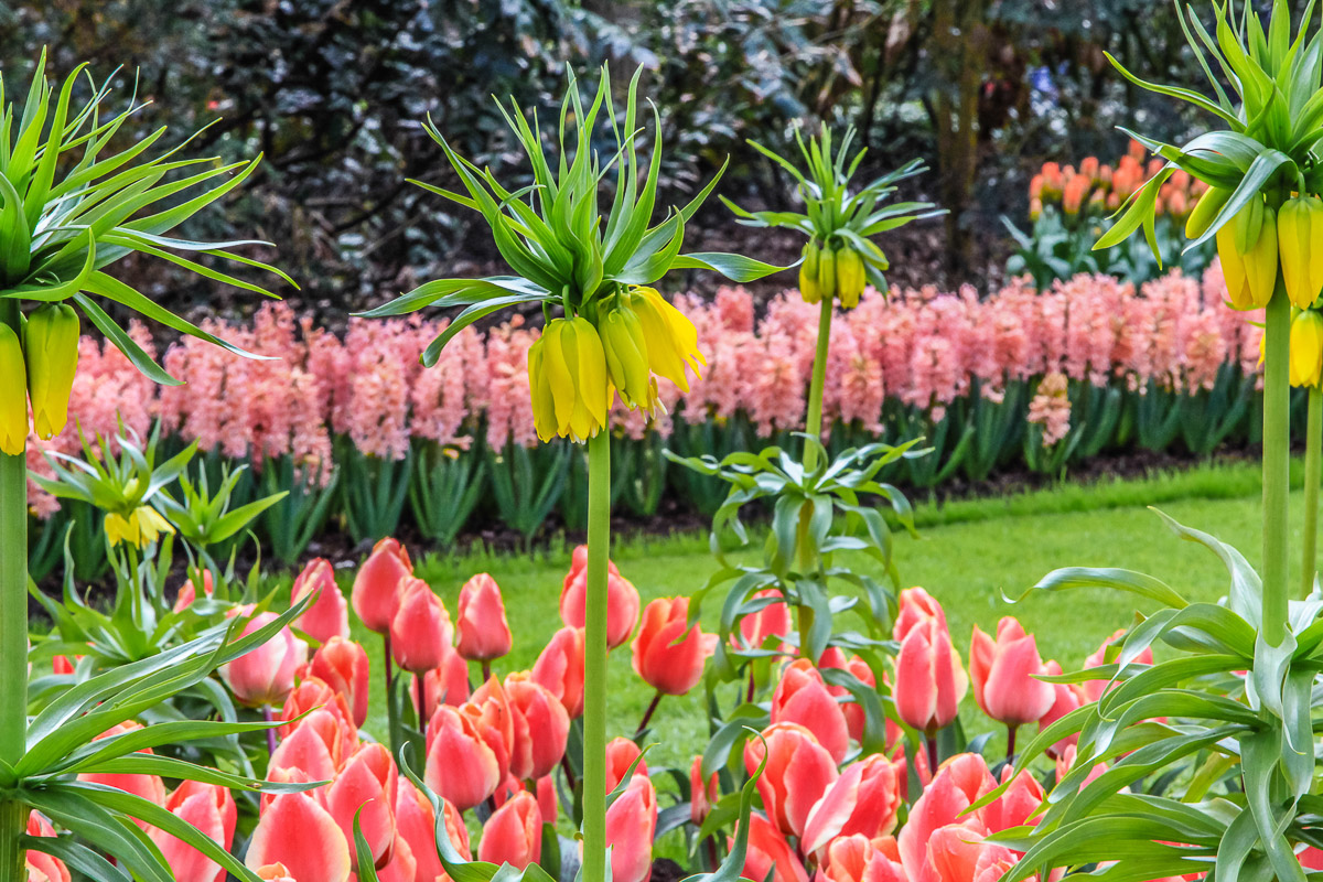 Copyright Tim Collins Photography-1882.jpg