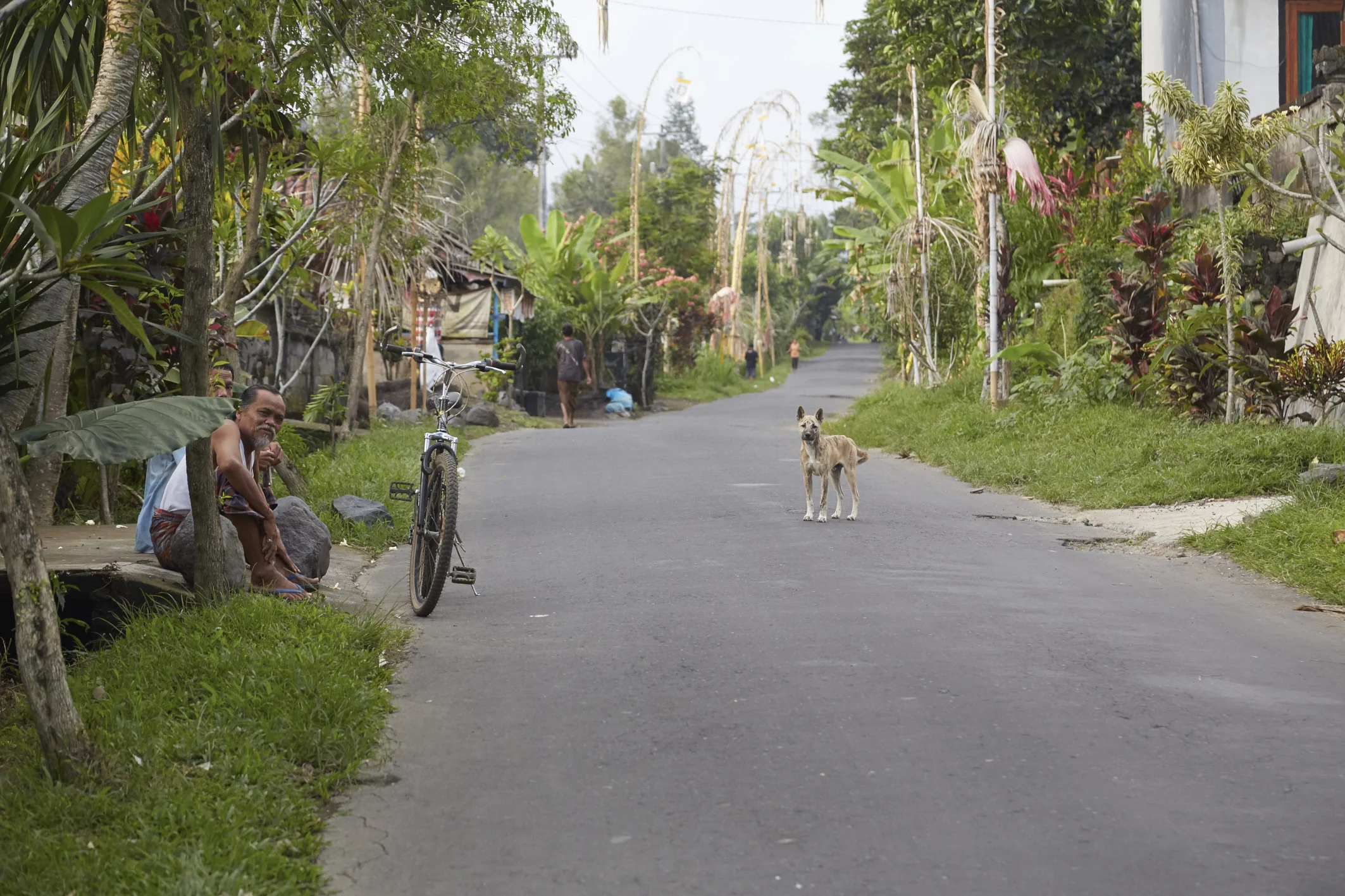 Alcuni tengono delle distanze molto molto ampie