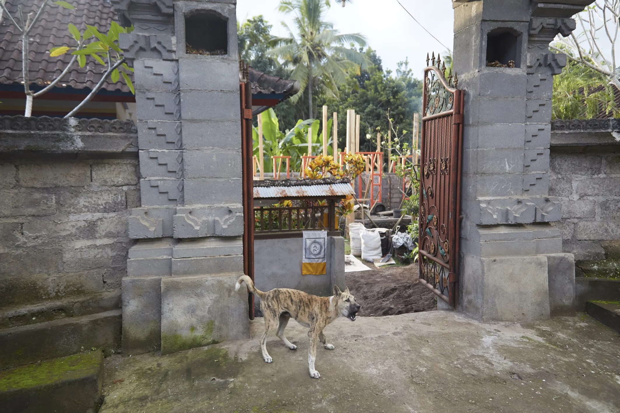 Avverte spaventato della nostra presenza fuori dal cancello della sua abitazione