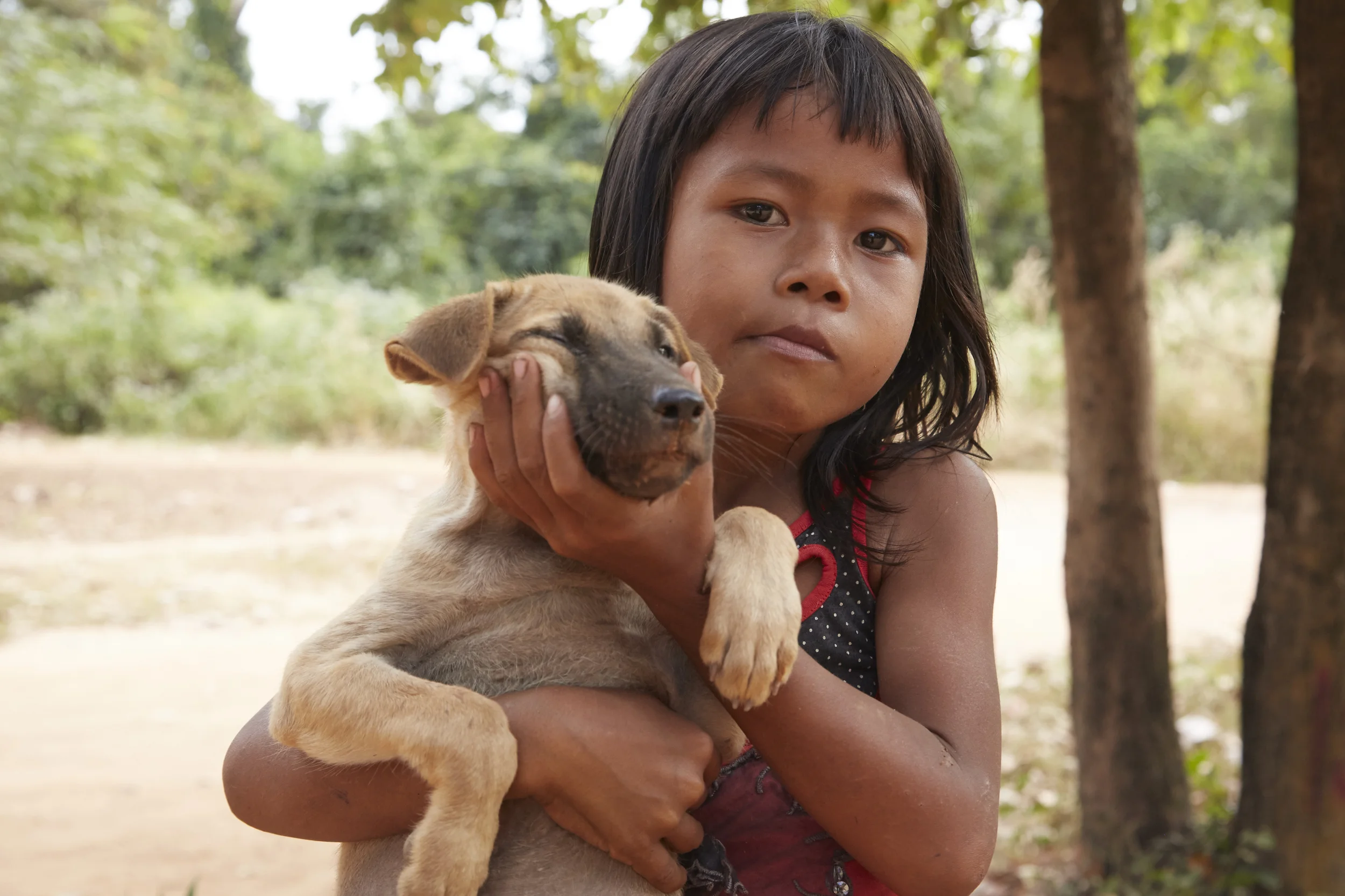 Tradizioni e contrasti