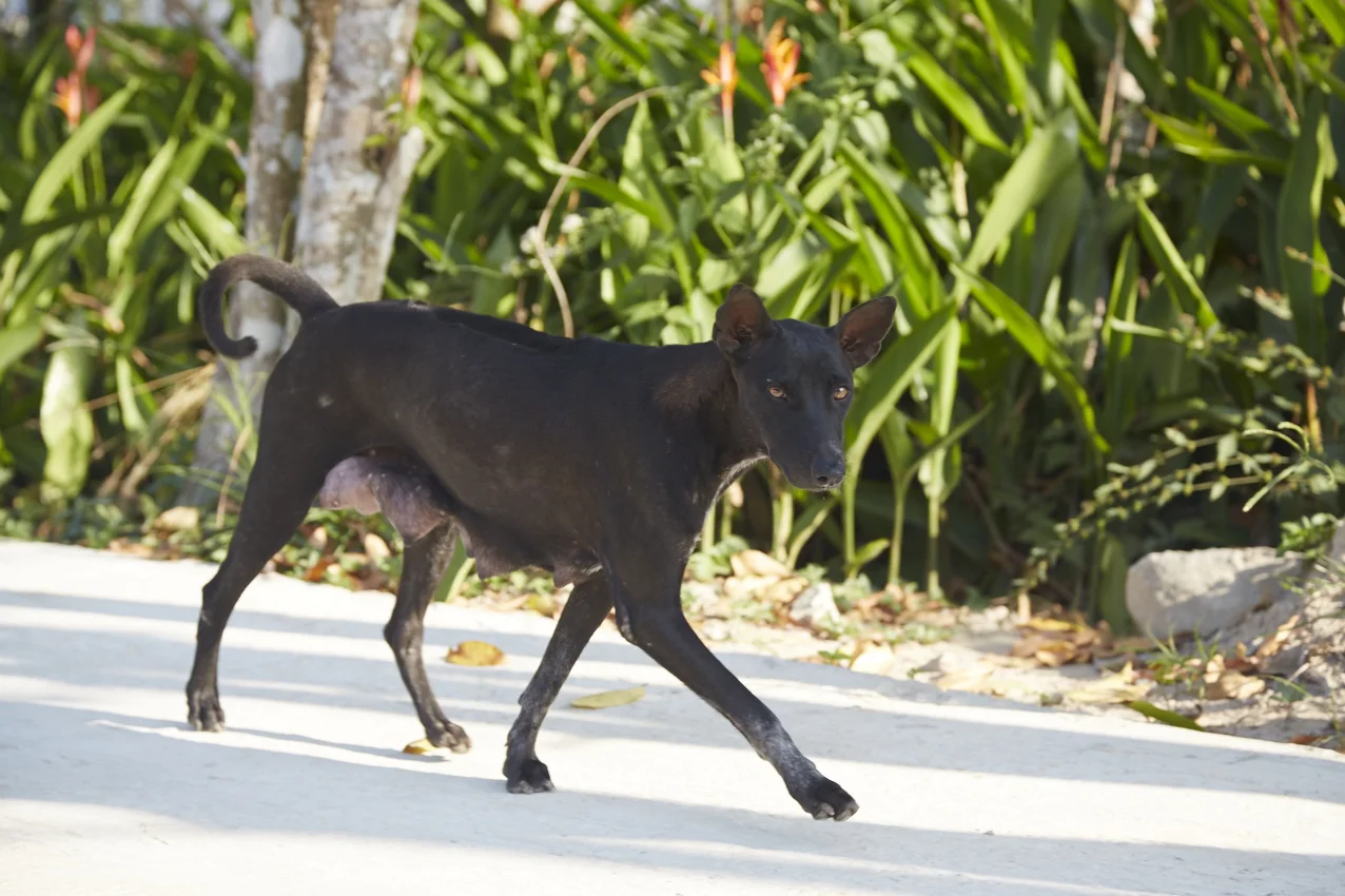 Giovane madre in fase di allattamento
