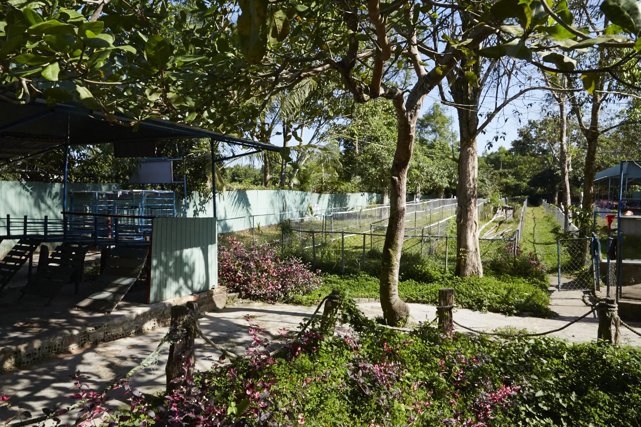 Cinodromo con gli spalti sull destra della foto