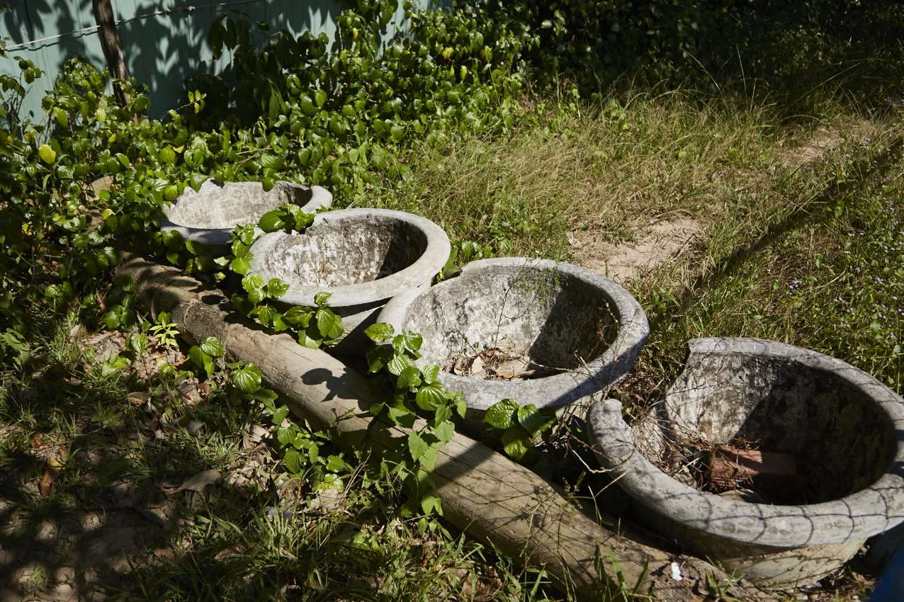 L'ostacolo "Nell'antica foresta"