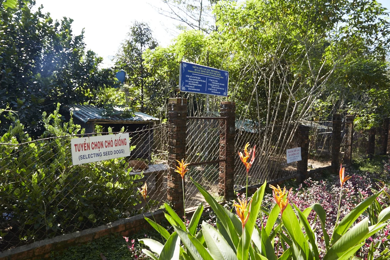 "Selezione inseminatori"