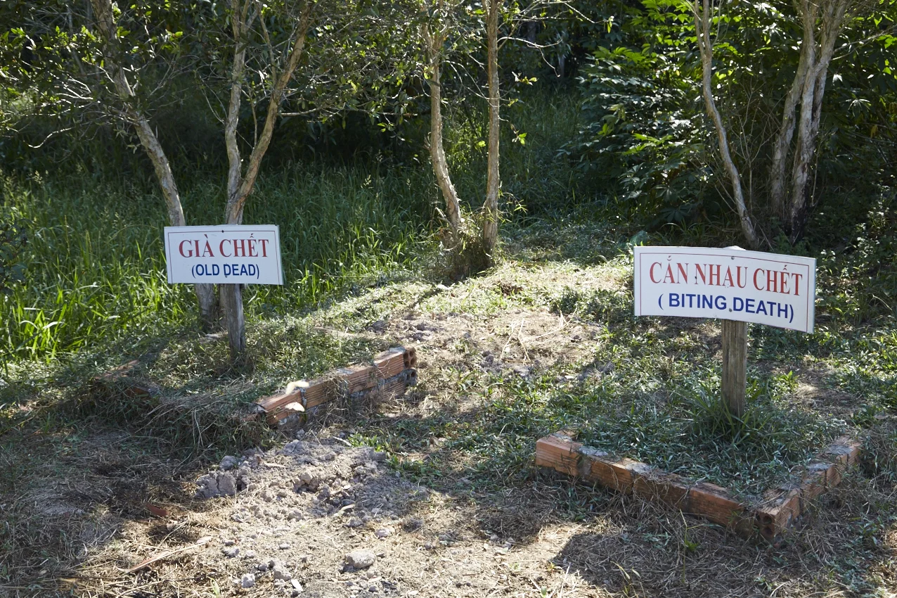 "Morti di vecchiaia", "Morti a causa di morsi"