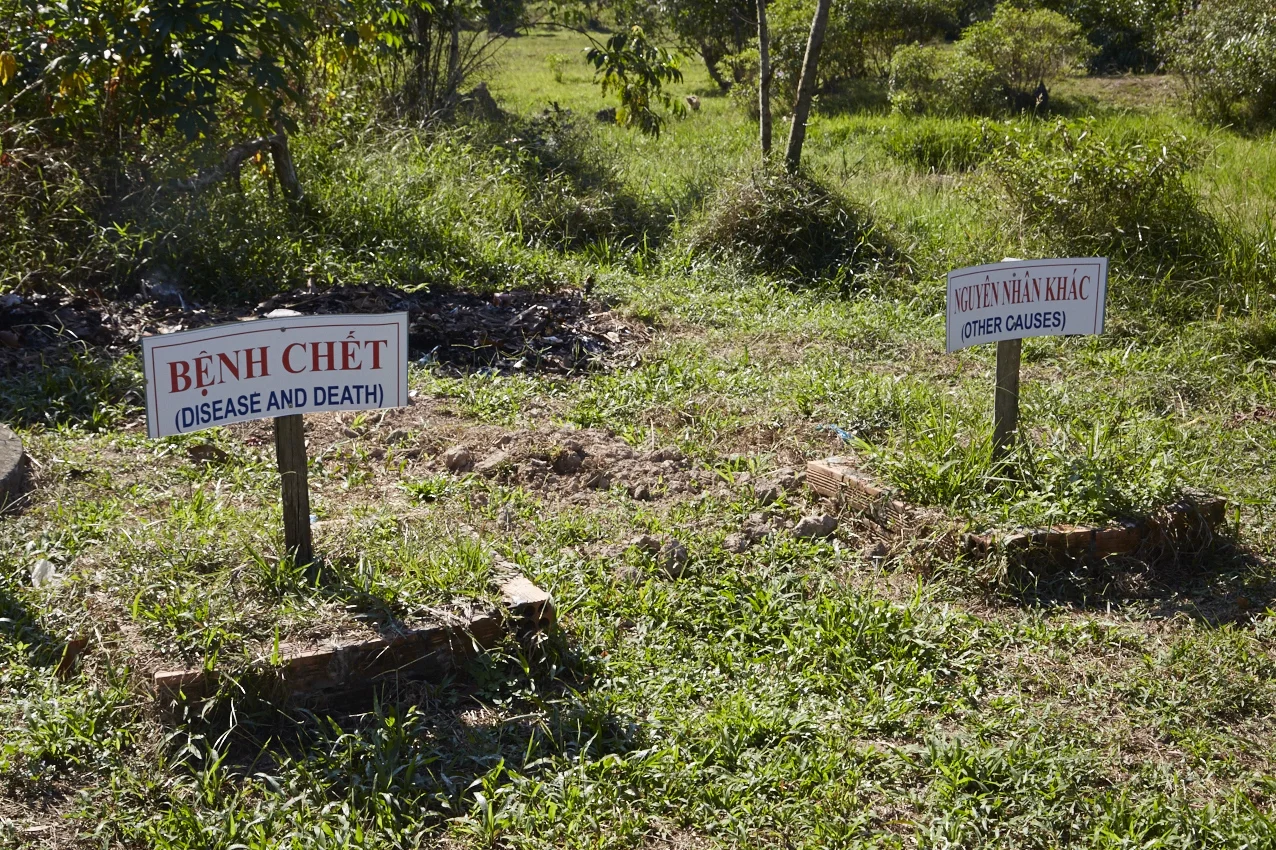 "Malattie mortali", "Altre cause"