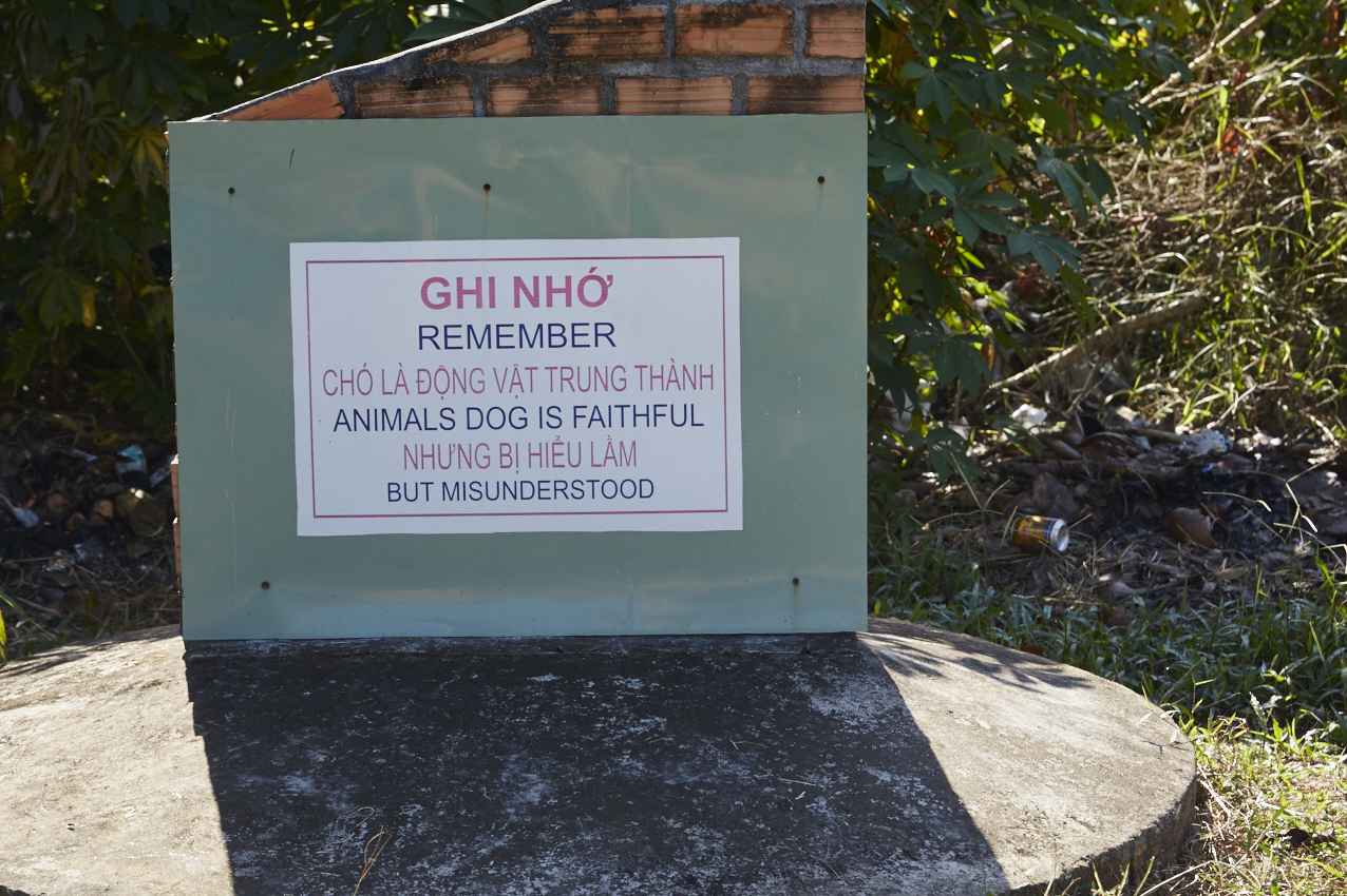 "Ricorda: l'animale cane è fedele ma frainteso"