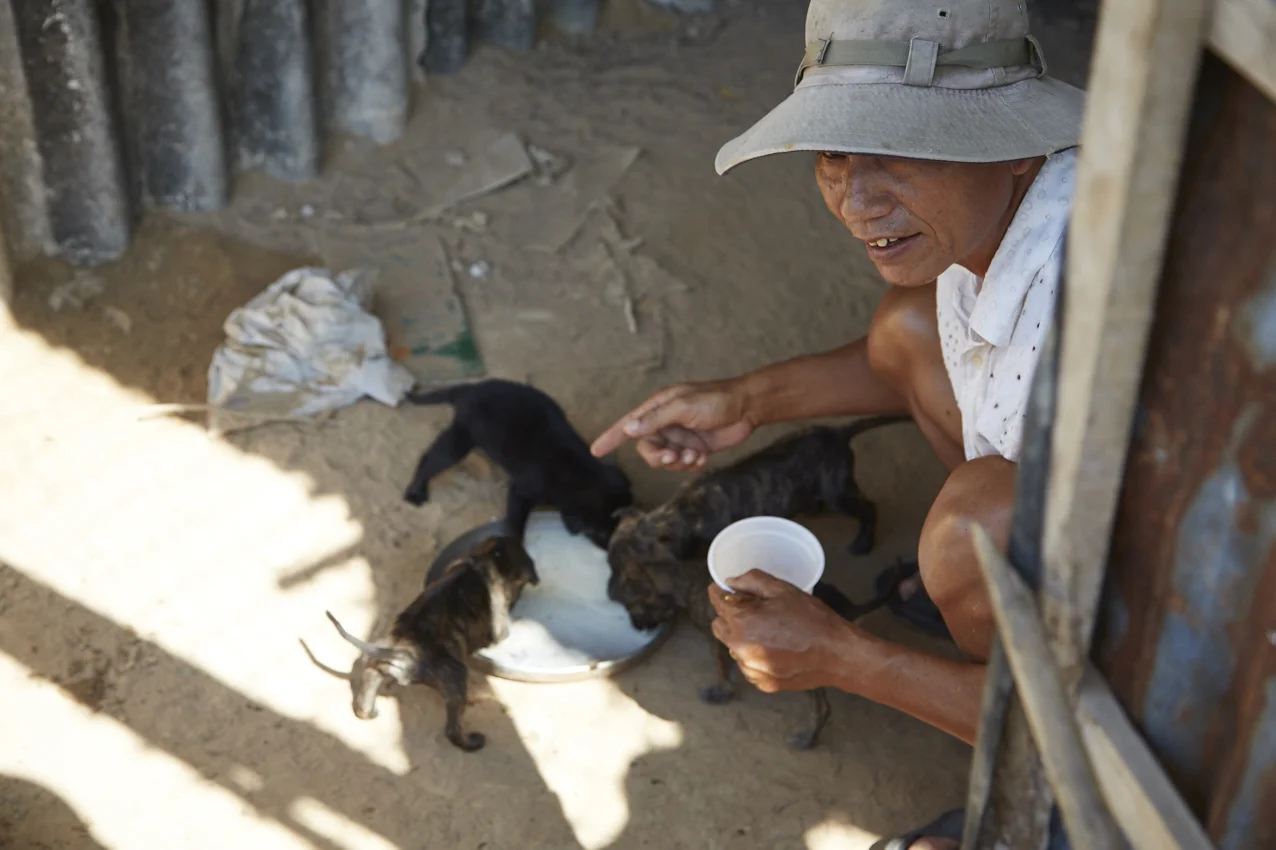 Latte in polvere per i cuccioli