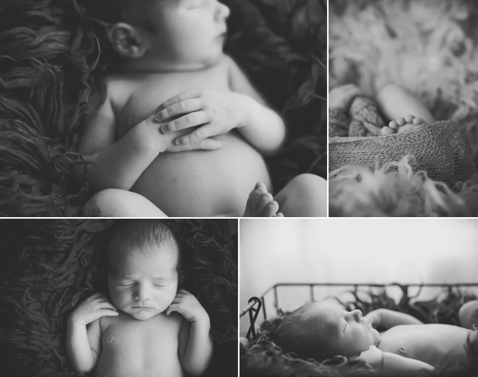 newborn-details-denver