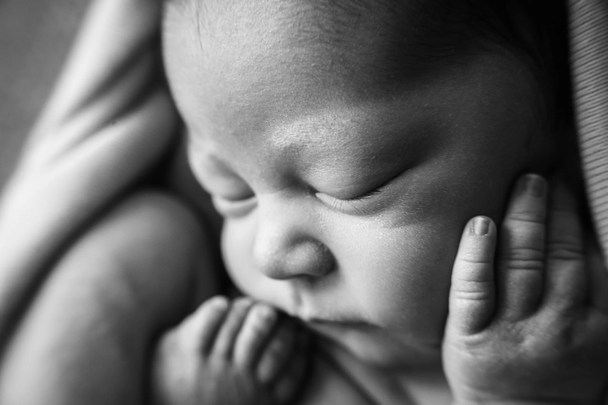 Lexi-Newborns-March-2017-3.jpg