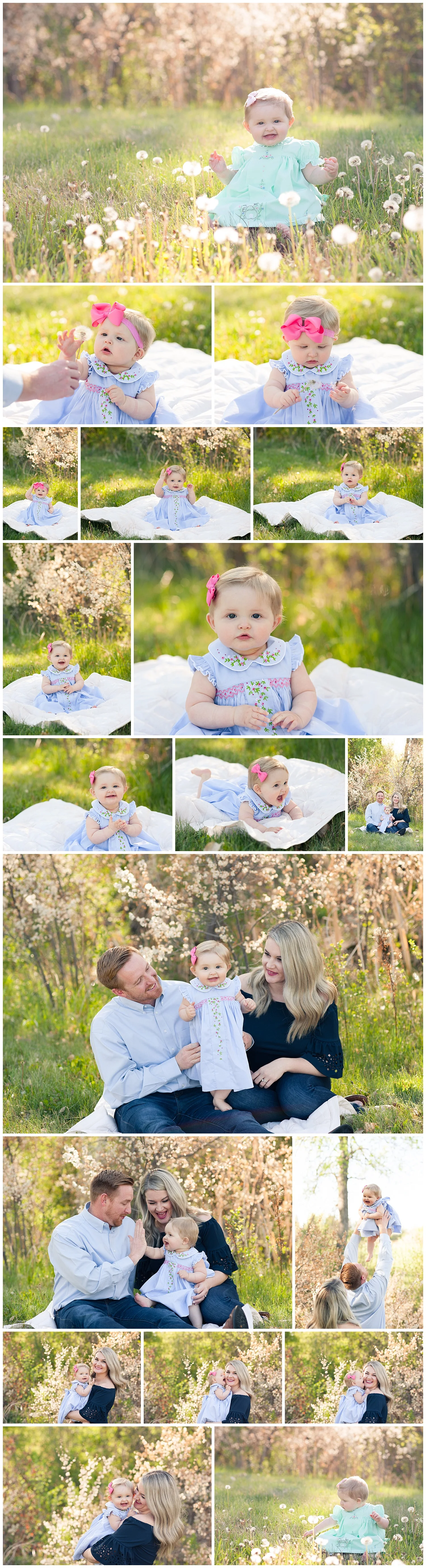 9 month old baby with mom and dad in a field of flowers.