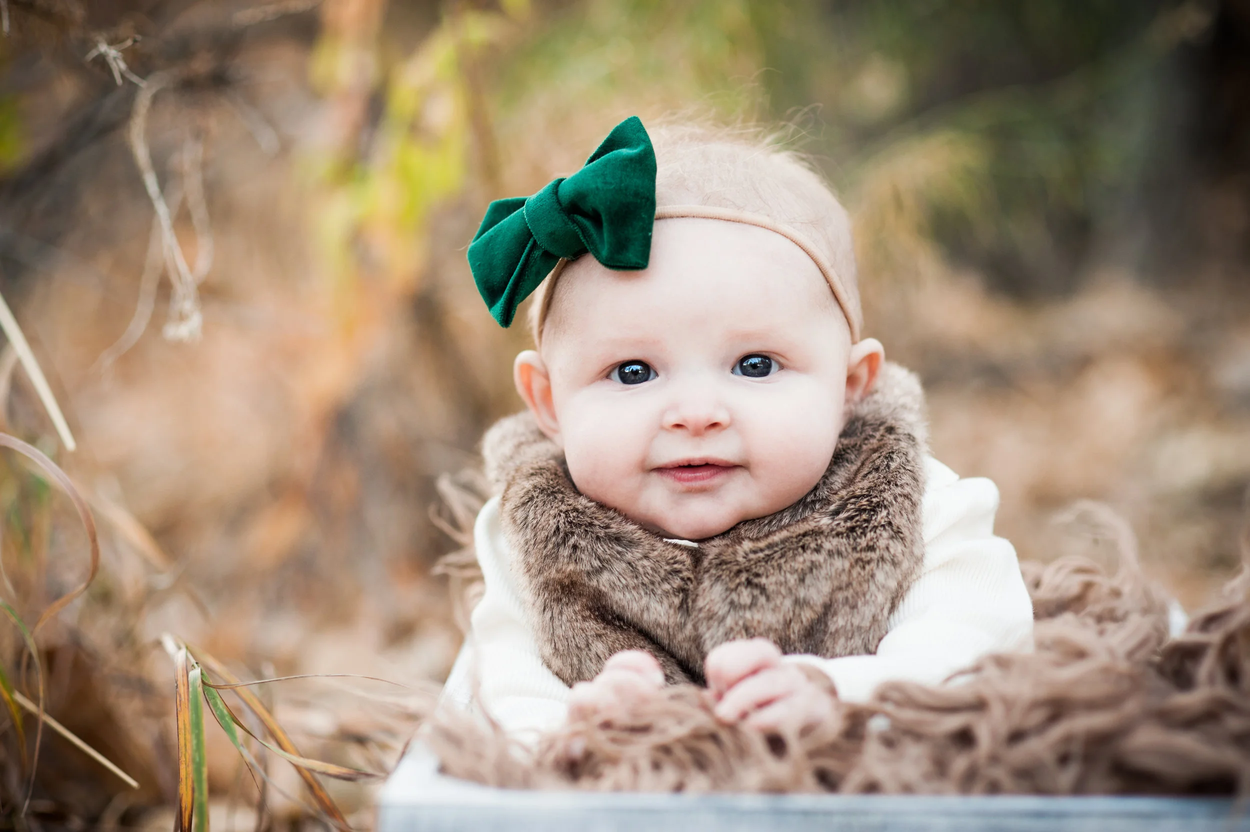 Brooks-Family-2016-2.jpg
