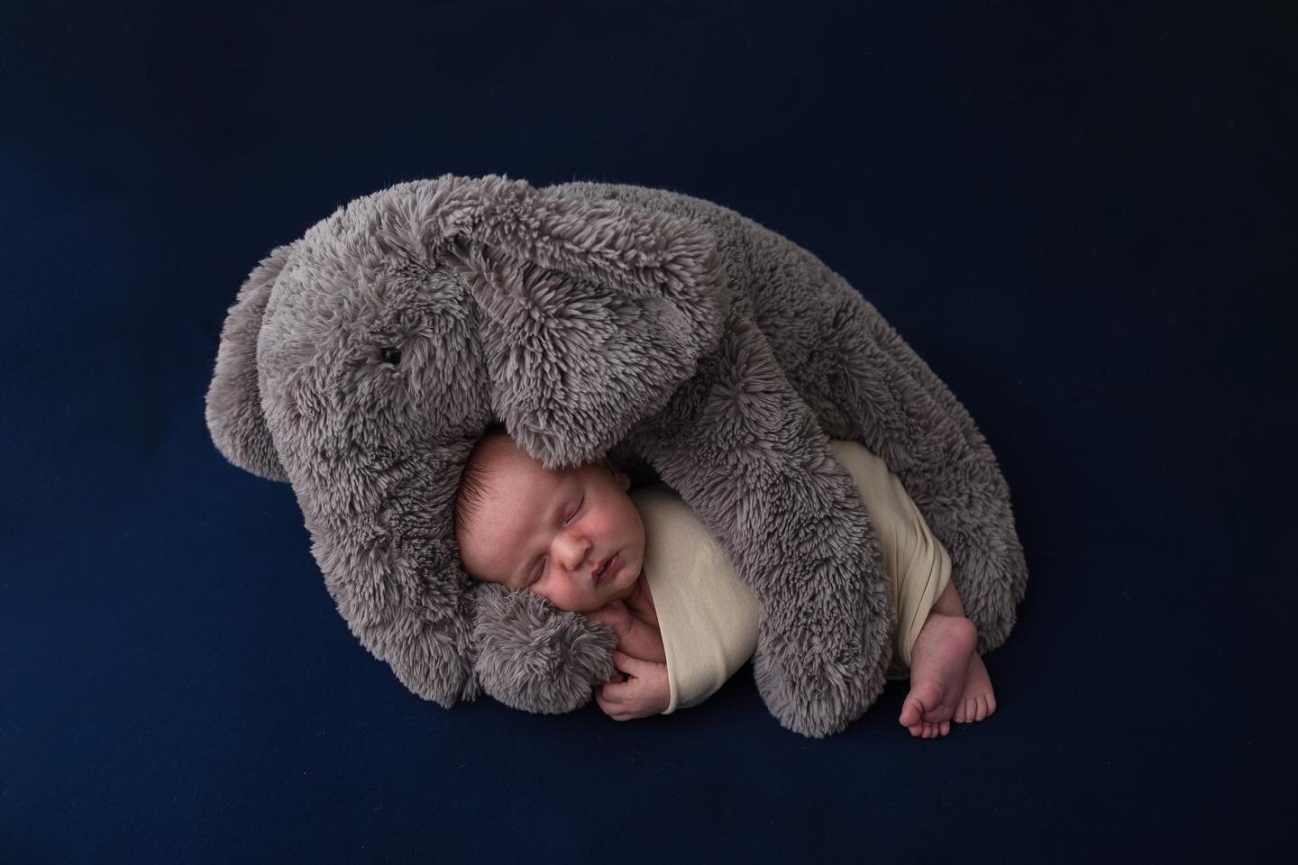 If you scroll down, you&rsquo;ll see big brother with the same elephant, except he weighed 2 pounds less! I love getting to recreate photos for siblings ❤️