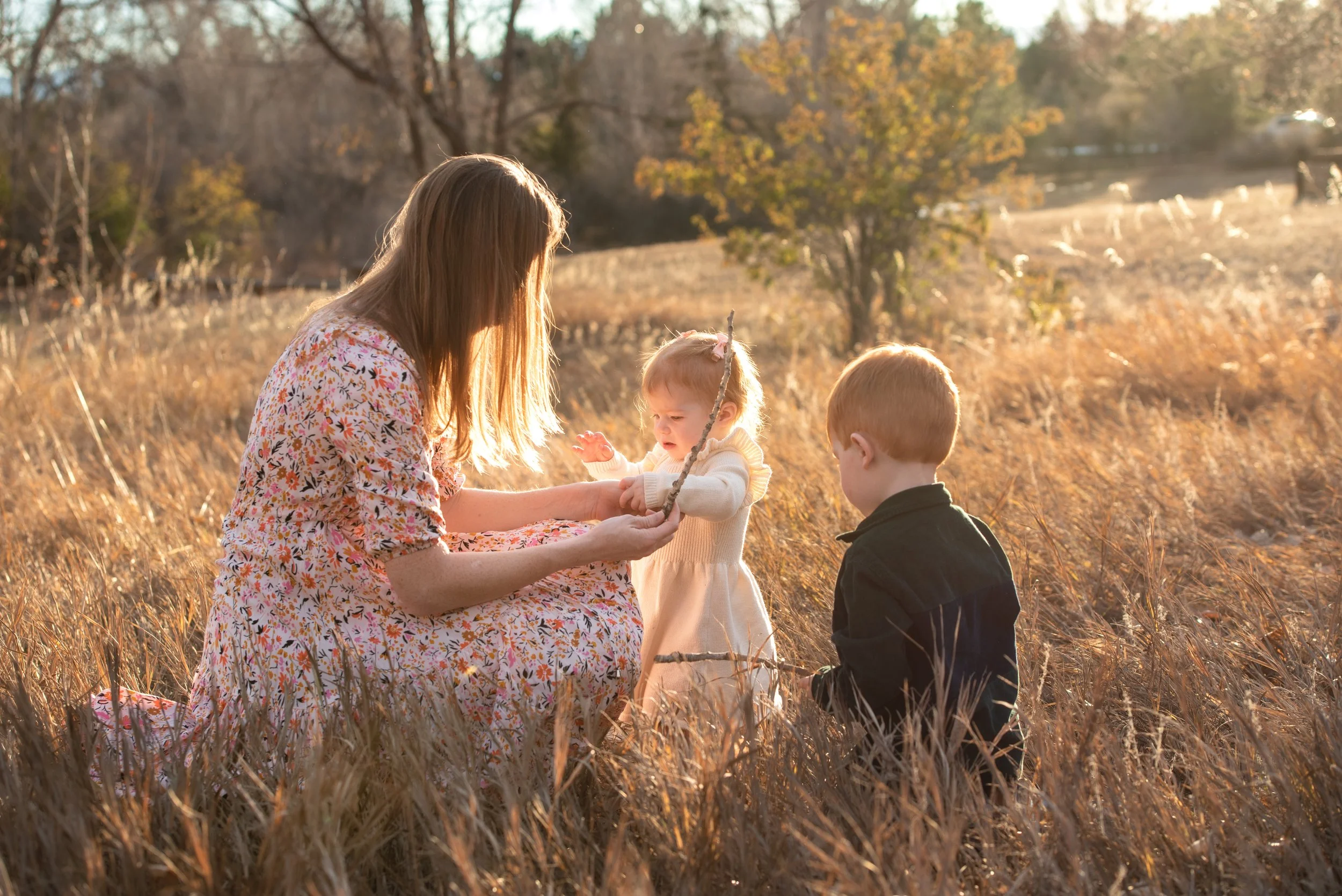Family soaked in golden hour sunlight plays in a park in Cherry Hills Village