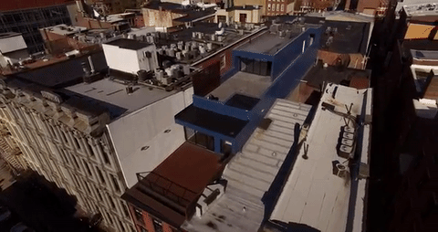 giphy.gif