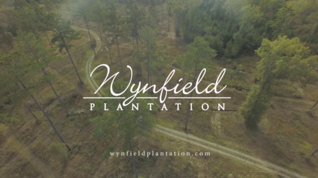 Wynfield Plantation spot