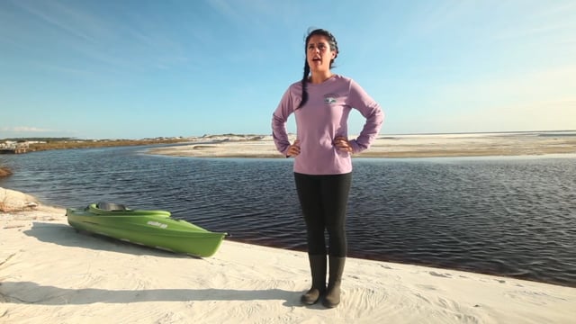 Southern Company: "Coastal Dune Lakes"