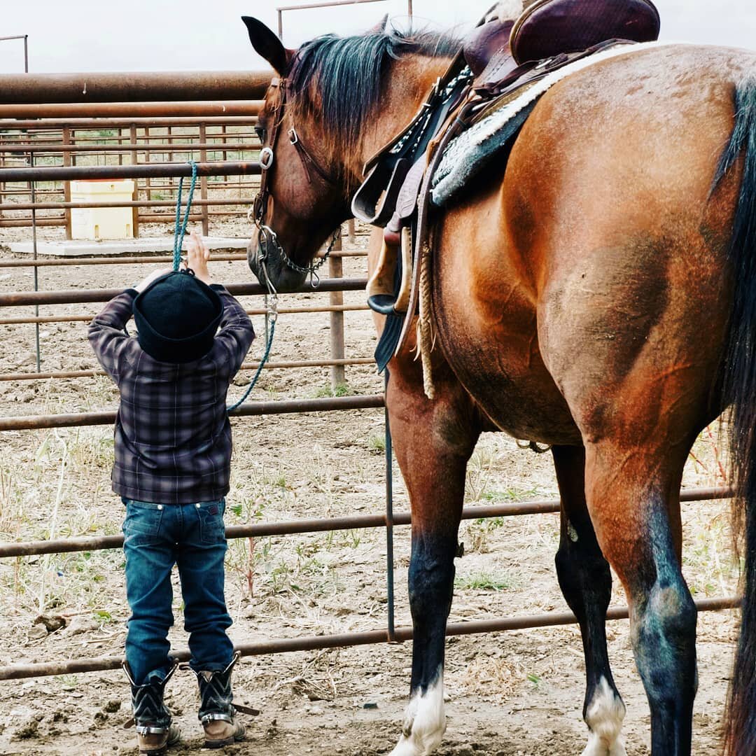 South Dakota shoot about 6 months ago.  These boys and girls are legit. SD is becoming one of my favorite places!

#ranch #ranchlife #horse #cowboy #horses #farmlife #cattle #western #cow #ranching #photography #agriculture #country #rodeo #nature #c