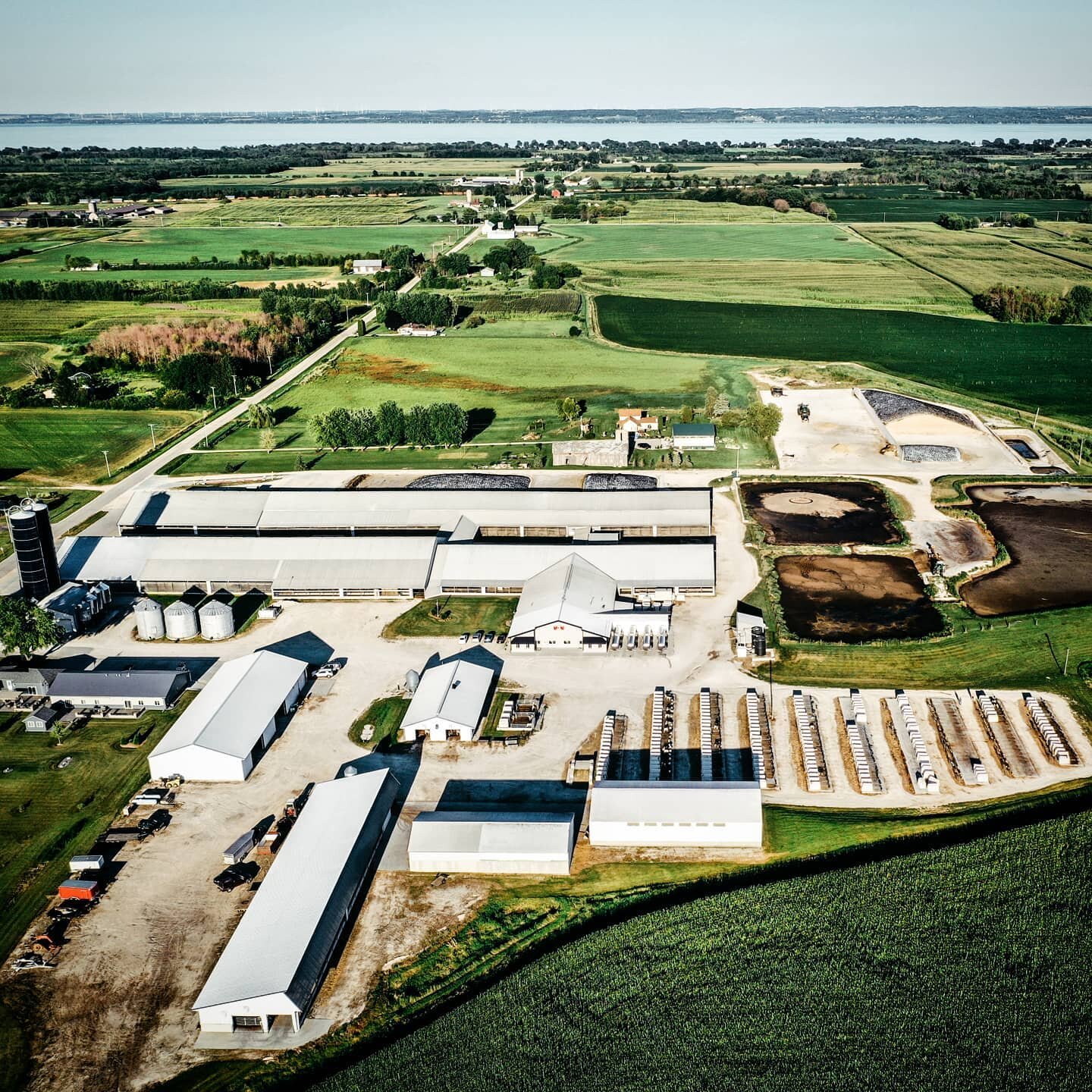 Ruedinger Farms Wisconsin.  A beautiful dairy in Wisconsin with great people.  Had a great time filming with the GENEX crew and as always, an education in the process.

#dairy #milk #dairyfarm #cows #farm #dairycows #cow #cheese #vegan #love #farmlif