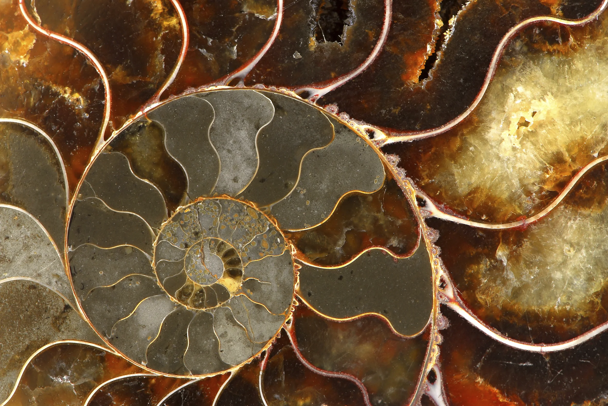 iStock_000003522864Large.jpg