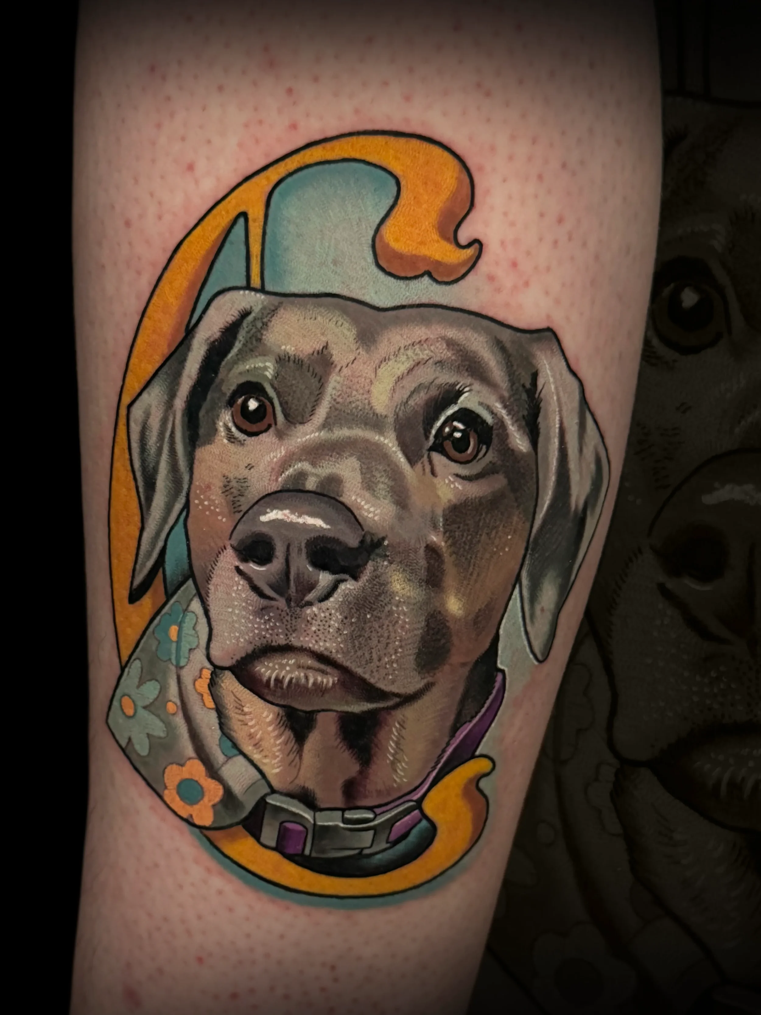 caydedog.webp
