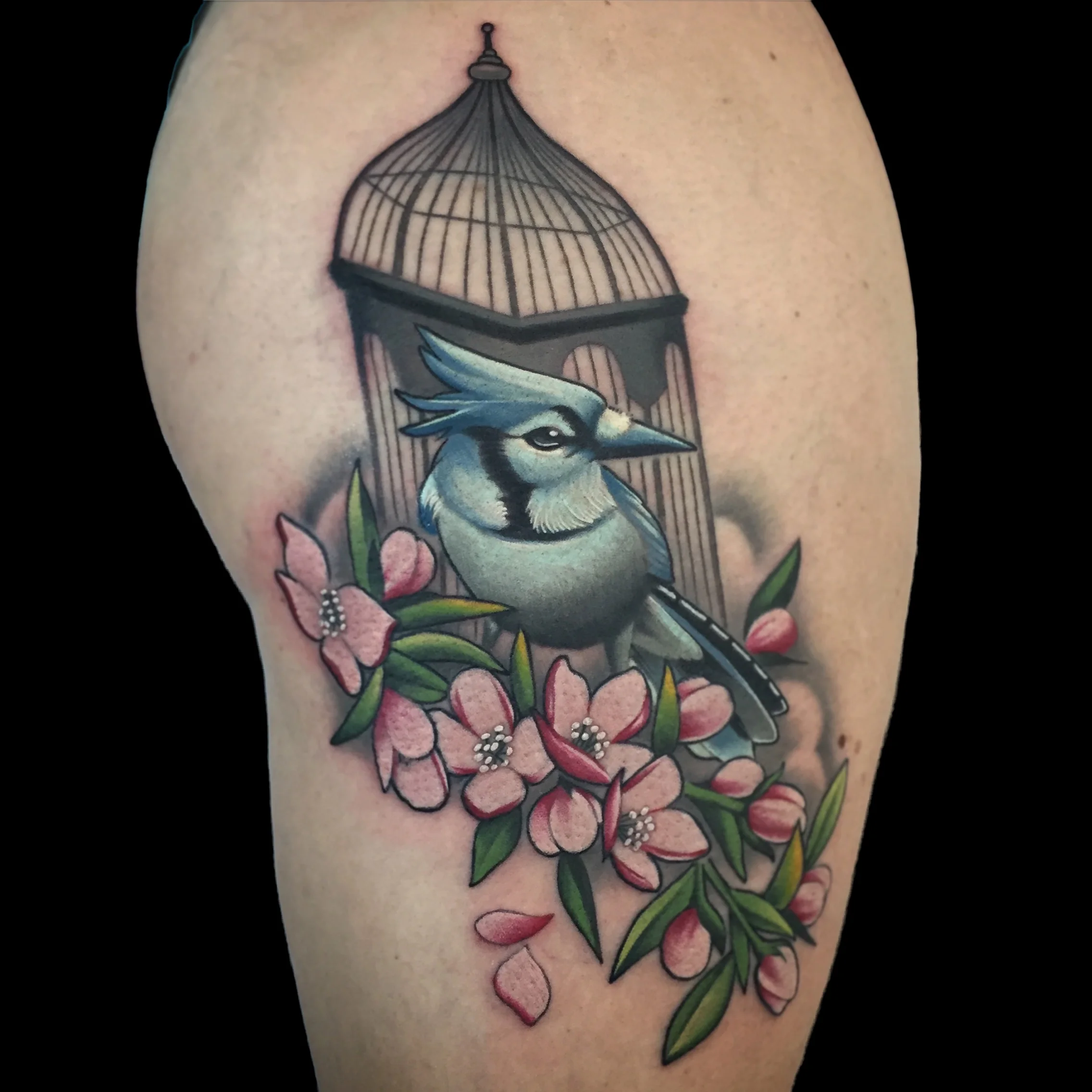 Blue Jay Cage and Pink Flowers Tattoo