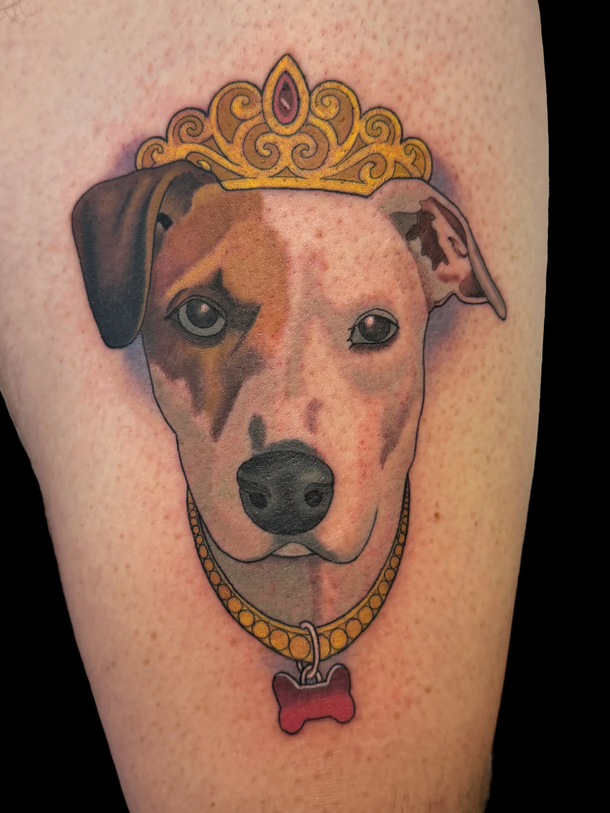 princedog.webp